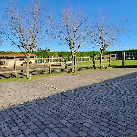 B&B 'T Hannonshof-2